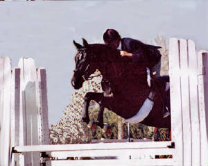 Mares/Lexi-jumping-cropped.jpg